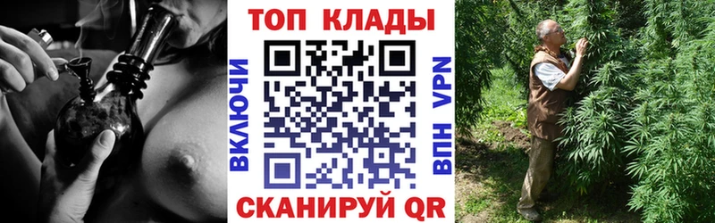 Как найти наркотики Заволжск Каннабис  Alpha PVP  Меф мяу мяу  Cocaine 