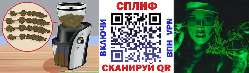 магазин продажи   Заволжск  Cannafood конопля 