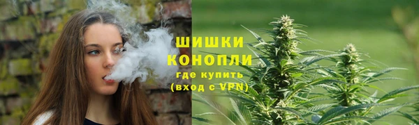 эйфоретик Ладушкин