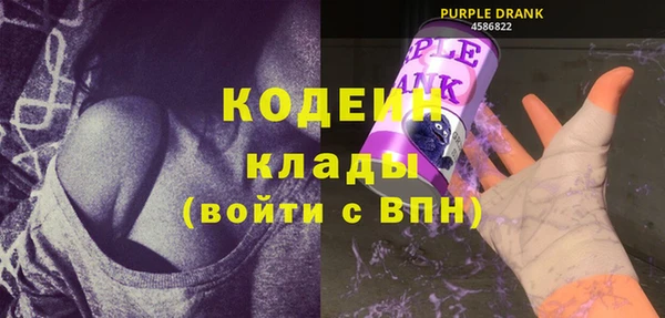 крисы Лагань